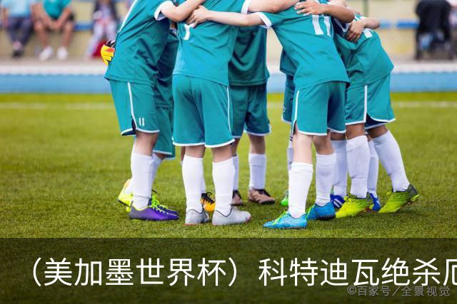 （美加墨世界杯）科特迪瓦绝杀厄瓜多尔 瑞典5:1大胜突尼斯